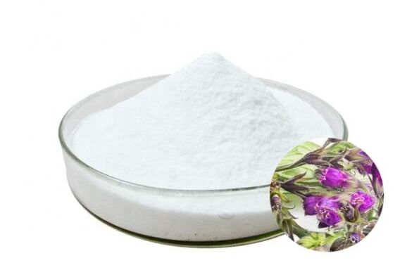 Hondrox sisaldab allantoiini